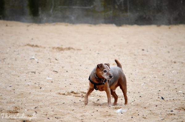 Cleethorpes Beach in April