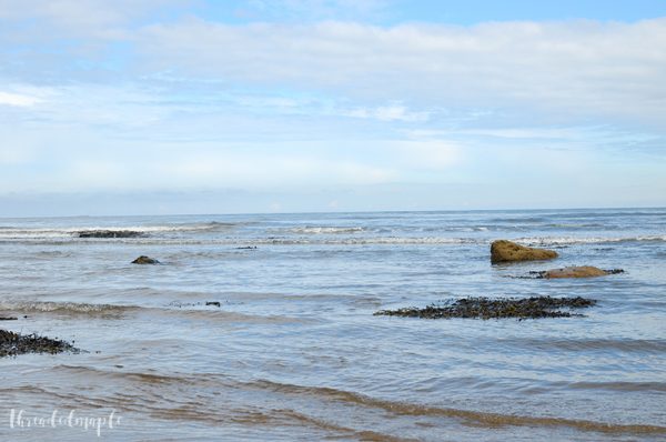 Travel Robin Hood Bay